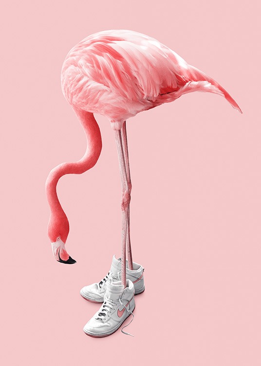 Rosa poster med rosa flamingo i vita sneakers