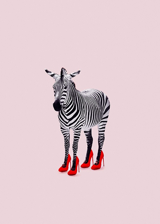 Zebra som har röda klackskor mot rosa bakgrund