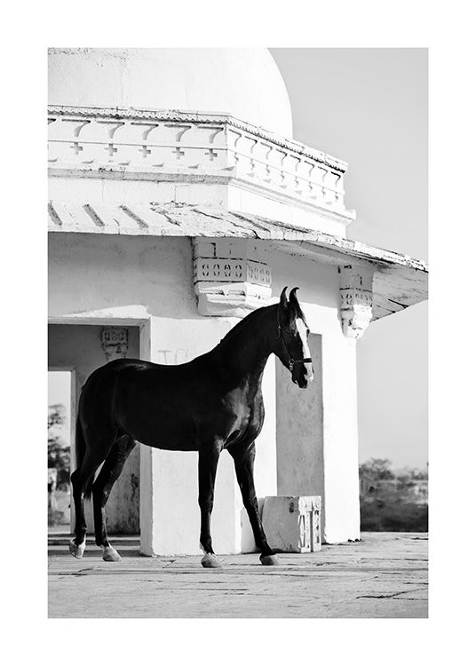 Fotografi av svart häst framför gammal byggnad i svartvitt