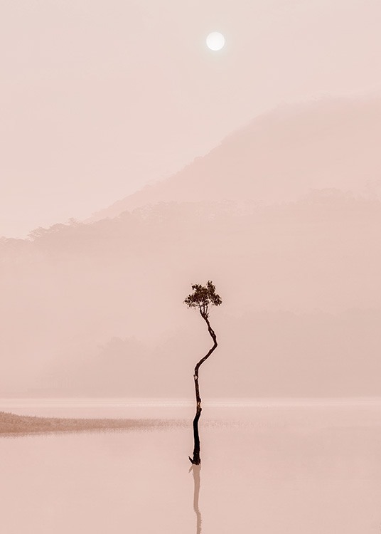 Fotografi av träd som speglas i rosa dimmig sjö med berg och månen i bakgrunden