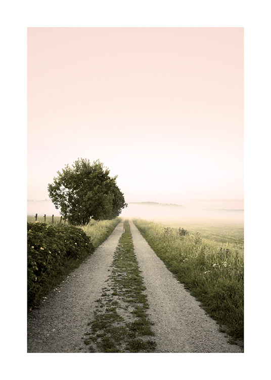 Fotografi av rosa himmel och dimmig väg omgiven av grön mark