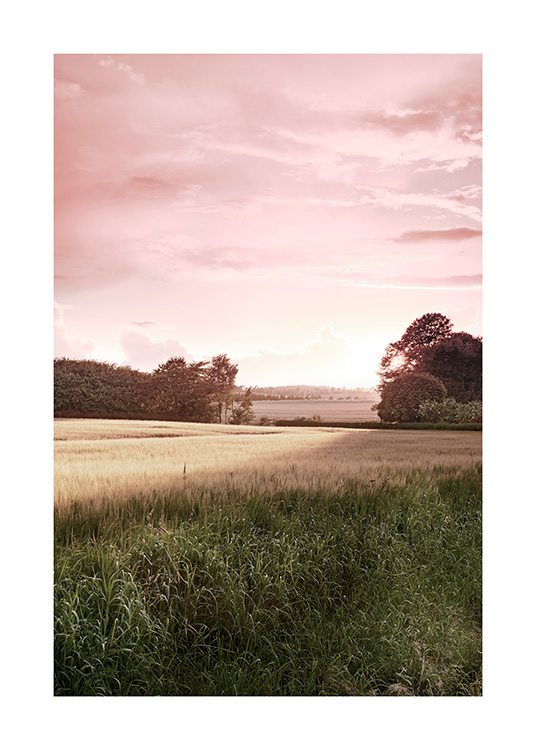 Naturposter av landsbygd i solnedgång med rosa himmel i bakgrunden