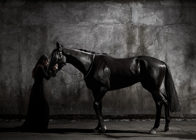  - Fotografi av svart häst och kvinna i svart som håller huvudena mot varandra