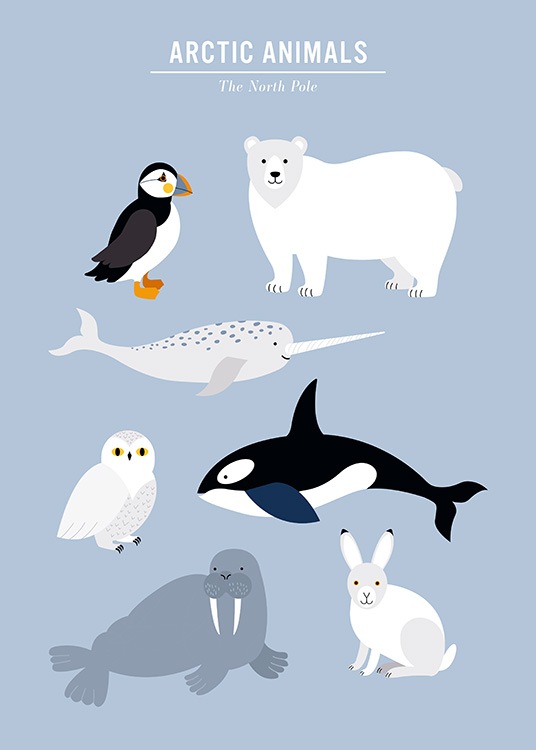  - Barnposter med en grafisk illustration i blått och med arktiska djur