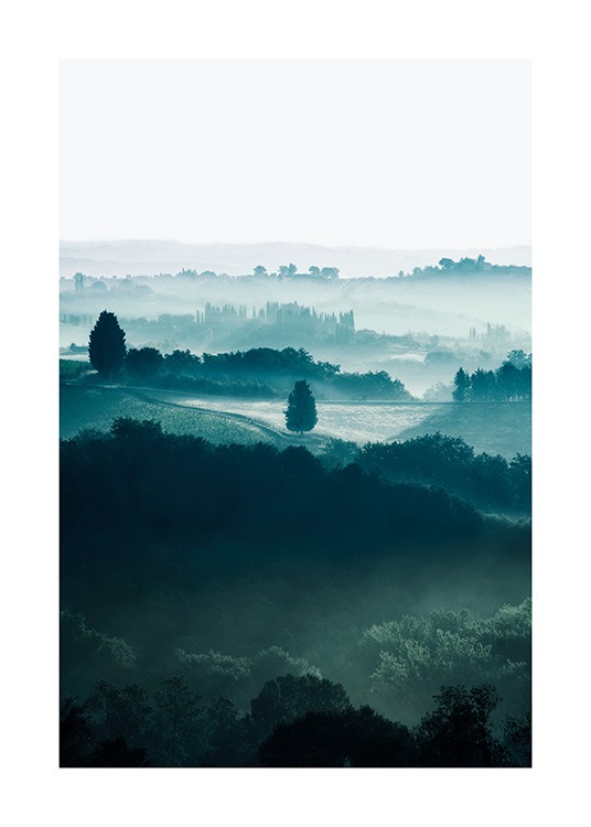 - Naturfotografi av träd på fält i Toscana, täckta av dimma