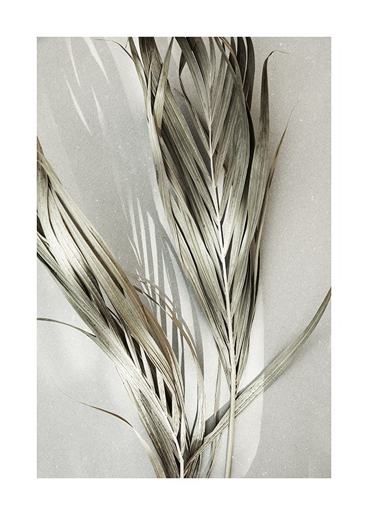 - Foto av torra gröna palmblad mot en grå bakgrund