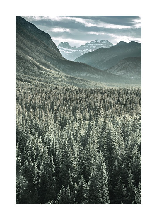 Rocky Mountains Forest Poster / Naturmotiv hos Desenio AB (13592)