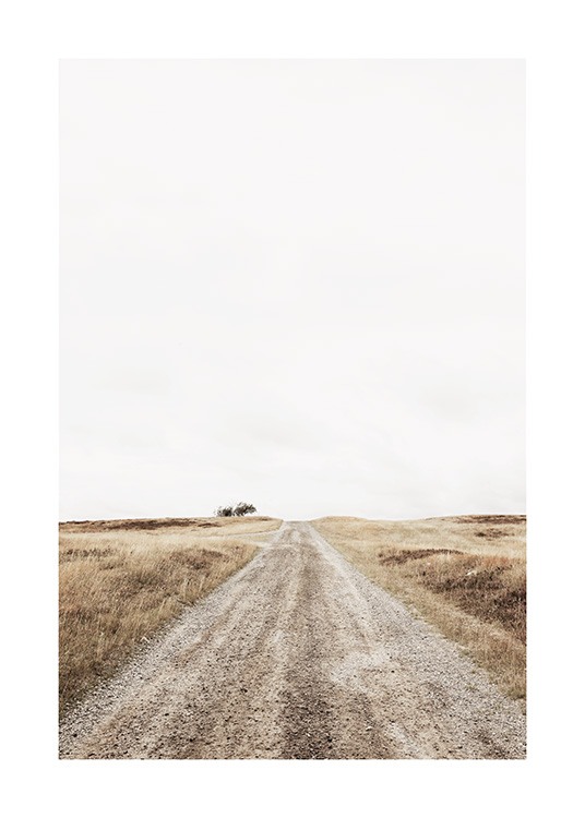 Lonely Road Poster / Landskap hos Desenio AB (13644)