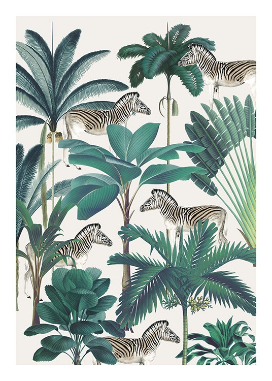 Royal Botanical Zebras Poster / Vilda djur hos Desenio AB (13734)