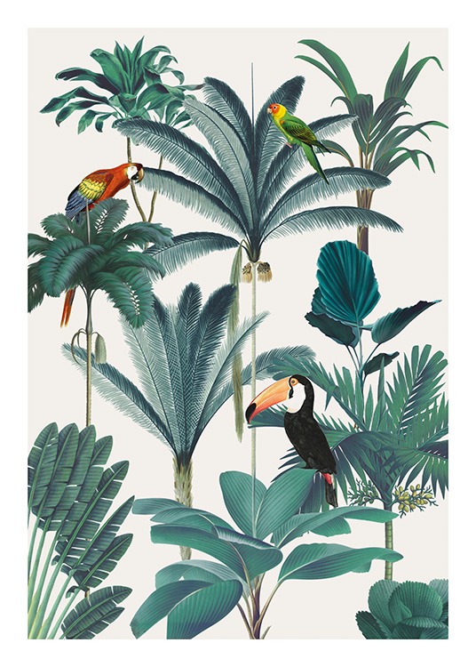 Royal Botanical Birds Poster / Fåglar hos Desenio AB (13736)