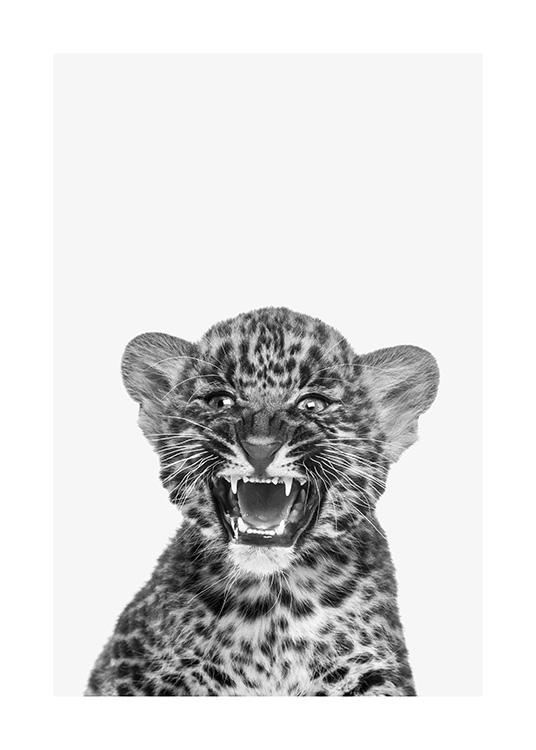 Baby Leopard Poster / Djur hos Desenio AB (13858)
