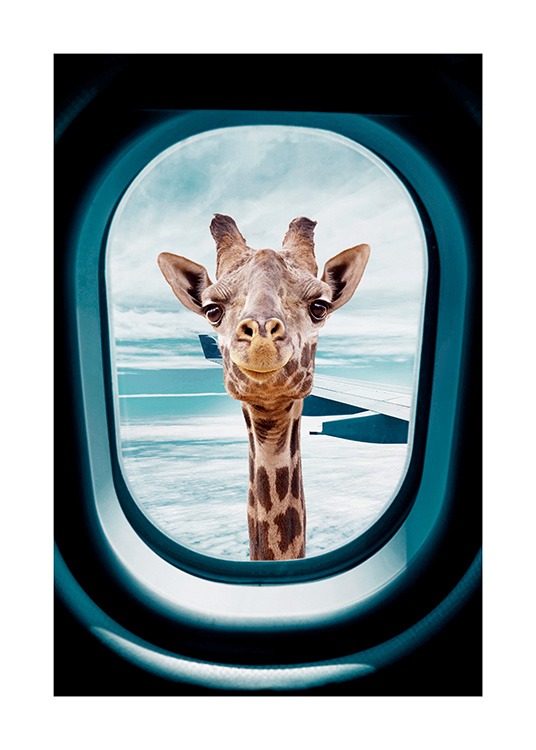  - Fotografi av en nyfiken giraff som tittar in genom ett flygplansfönster