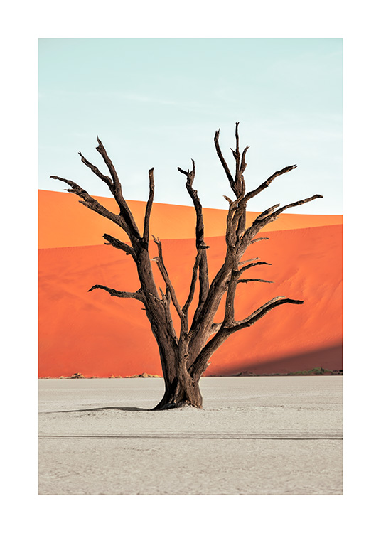  - Fotografi av ett brunt träd som står i öknen framför en blå himmel och röda sanddyner
