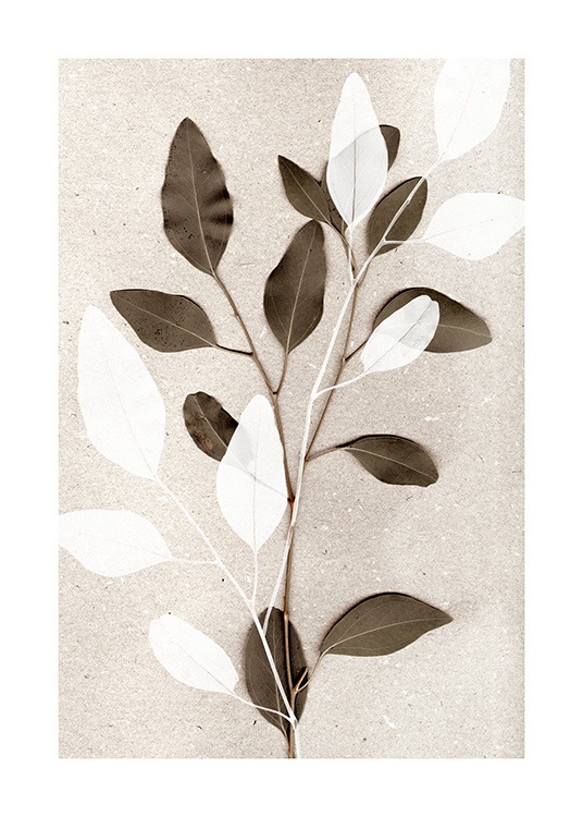 Eucalyptus No1 Poster