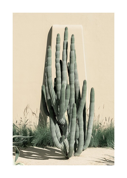 Beige Cactus Poster