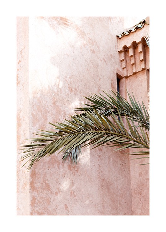  – Fotografi av ett rosa, kalkat hus bakom gröna palmblad