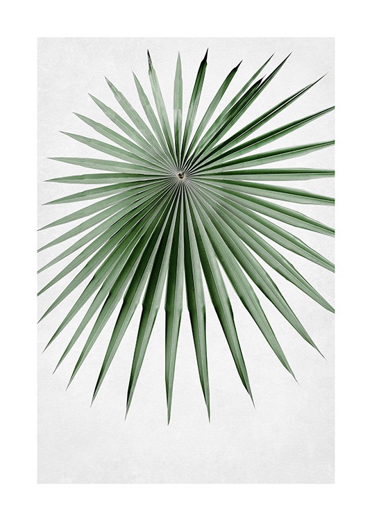 Green Palm Leaf Poster