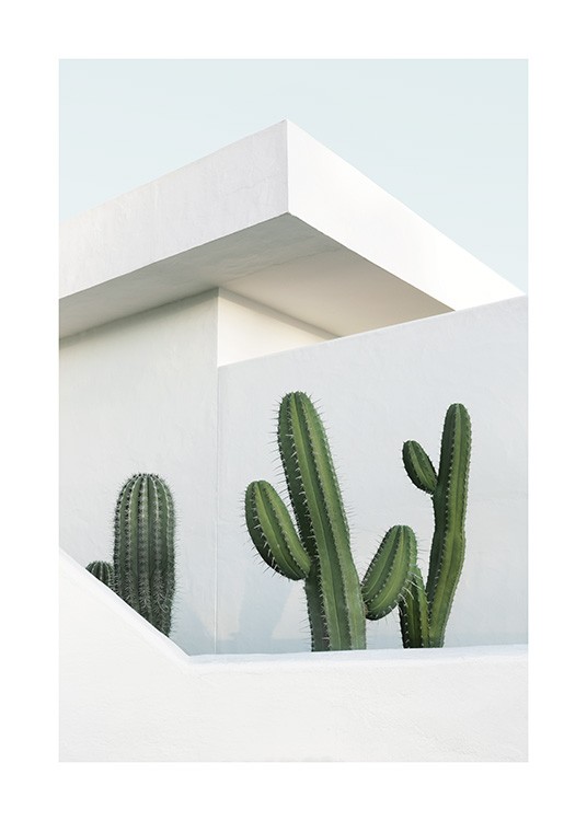 – Fotografi av en vit byggnad bakom tre gröna kaktusar
