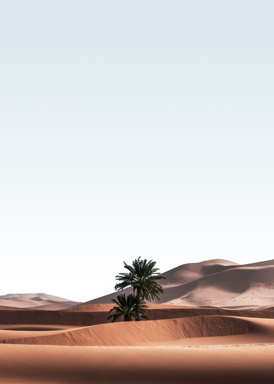  – Fotografi av ett ökenlandskap med palmer i sanddynerna