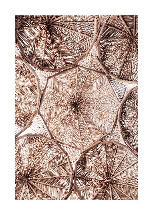  – Fotografi av cirklar av organiskt material i ett tak
