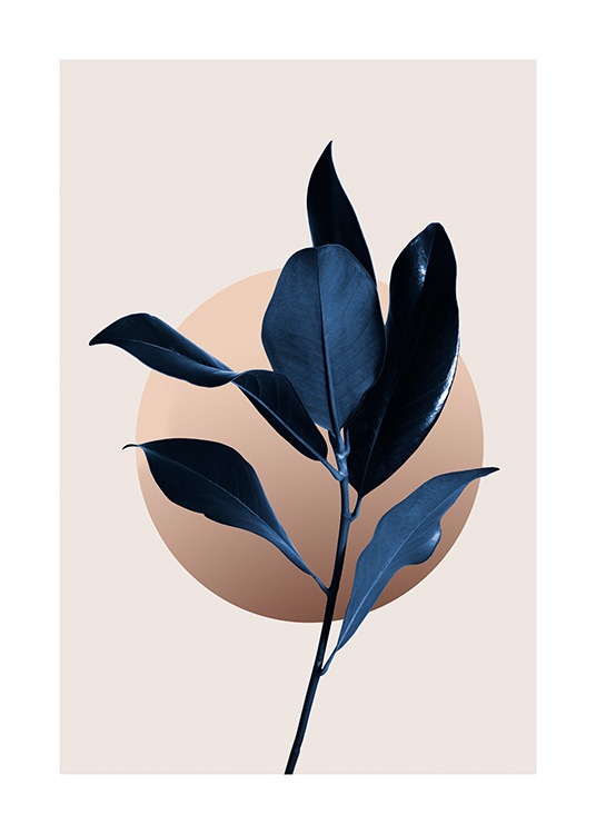  – Mörkblå magnoliablad med en grafisk illustrerad cirkel bakom, på en beige bakgrund