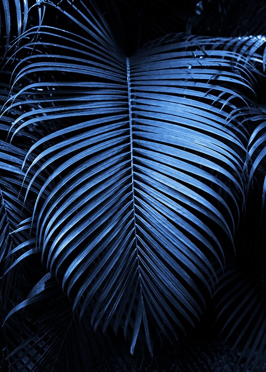  – Fotografi av ett stort palmblad i mörkblått