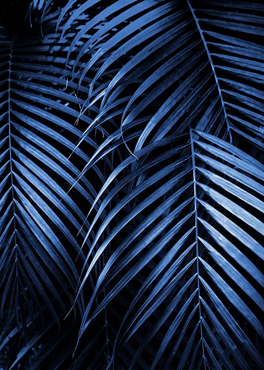 Blue Palm Leaves No2 Poster