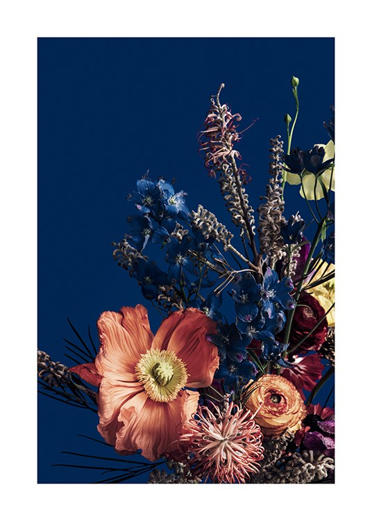  – Fotografi av röda och blå blommor i en färgglad bukett, mot en mörkblå bakgrund