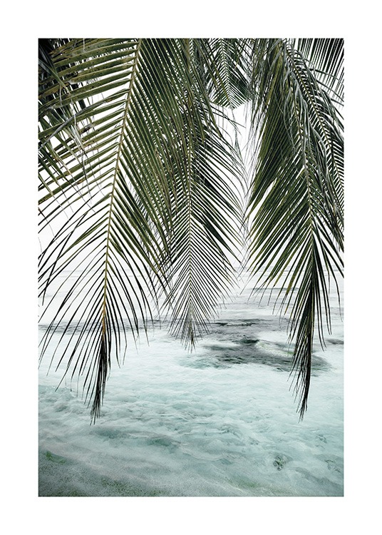  – Fotografi av gröna palmblad som hänger ner, med ett klart, blått hav i bakgrunden