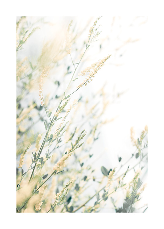  – Fotografi av små, gula blommor med gröna blad mot en vit bakgrund