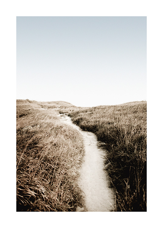  – Fotografi av gräs som omger en stig av sand med en blå himmel i bakgrunden