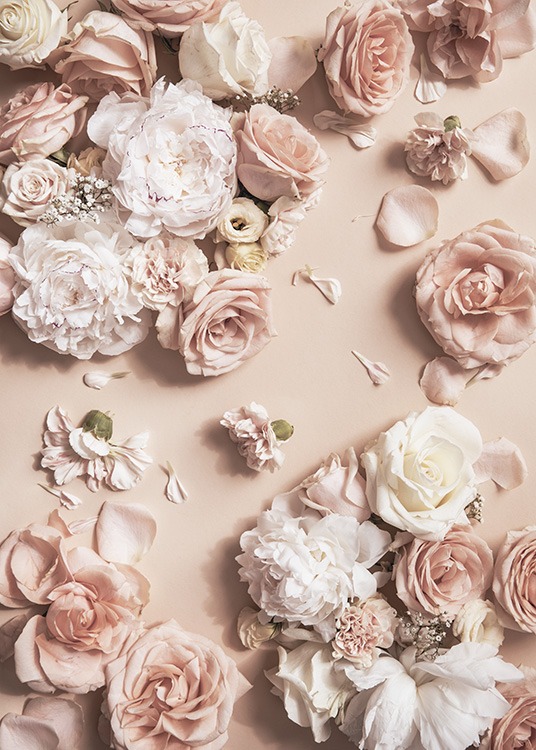  – Fotografi av blommor i vitt och rosa och spridda blomblad på en rosa bakgrund