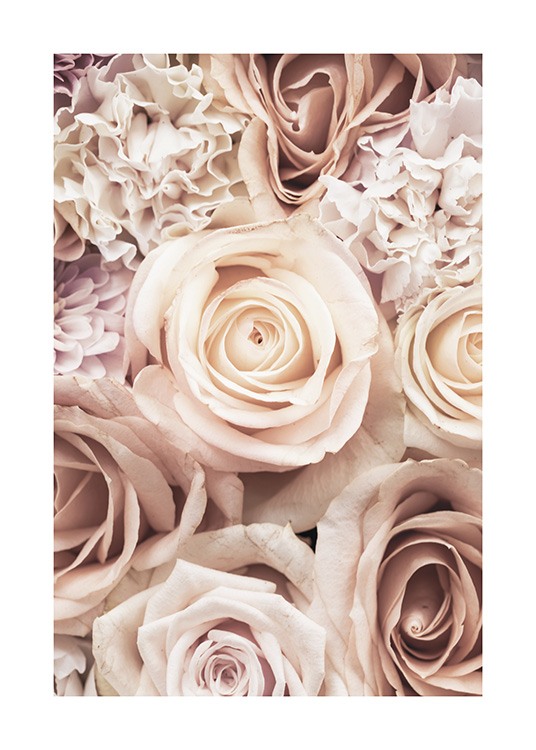  – Fotografi av ett kluster av rosa rosor och rosa nejlikor