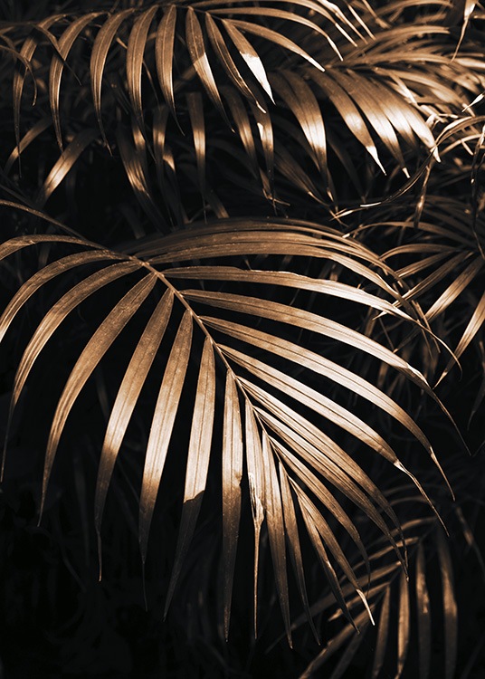  – Fotografi av gyllene palmblad mot en svart bakgrund
