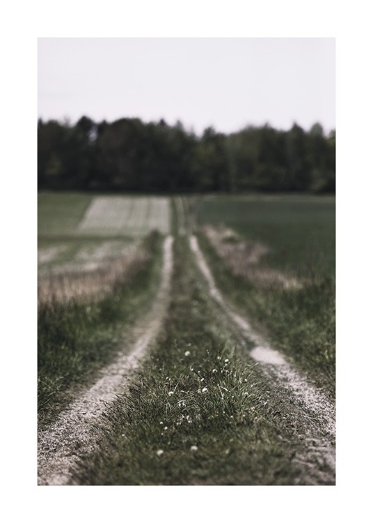  – Fotografi av gräsfält som omger en liten landsväg med suddiga träd i bakgrunden