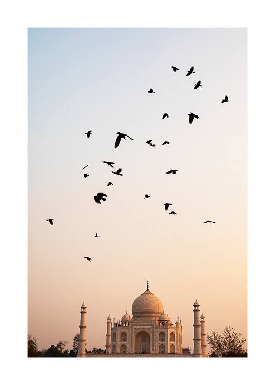  – Fotografi av en flock flygande fåglar, med Taj Mahal och en pastellfärgad himmel i bakgrunden