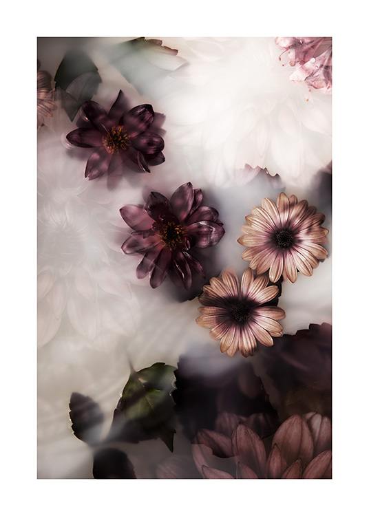  – Fotografi av blommor i rosa och mörklila som flyter i ett mjölkbad