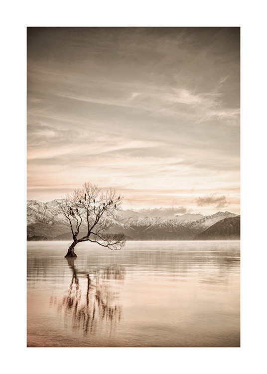  – Fotografi av en stilla sjö med ett träd i och berg i bakgrunden