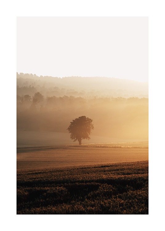  – Fotografi av fält med ett träd i mitten vid soluppgången  – allt täckt av dimma