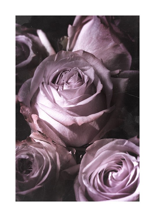 Antique Rose Bouquet Poster / Botaniska hos Desenio AB (15304)
