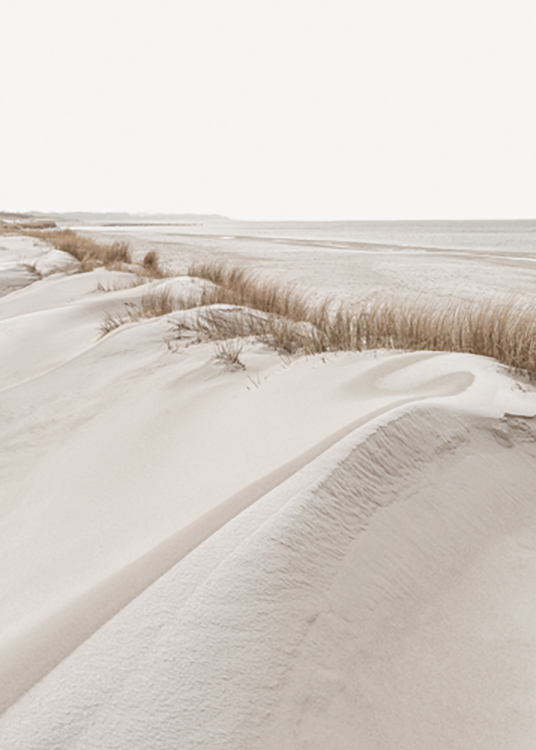  – Fotografi av gräs på sanddyner med strand och hav bakom