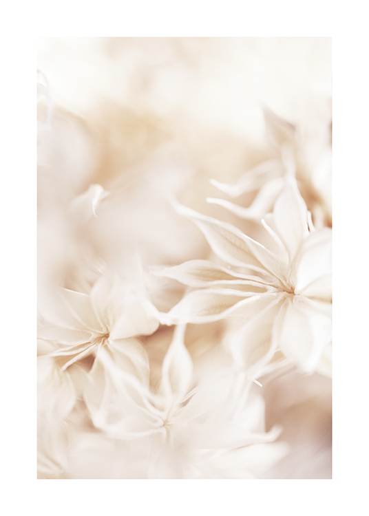  – Fotografi med närbild av ljusa blommor