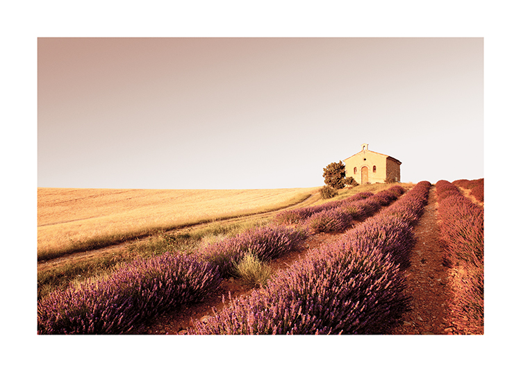  – Fotografi av ett kapell på toppen av en kulle med ett lavendelfält framför