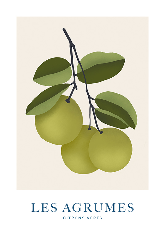  – Illustration av limefrukter och blad på en gren, mot en ljusbeige bakgrund