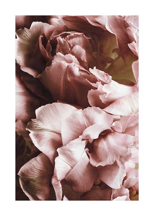  – Fotografi med närbild på rosa blommor