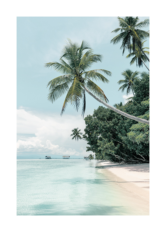  – Tropiskt fotografi av en strand med palmer, och ett blått hav
