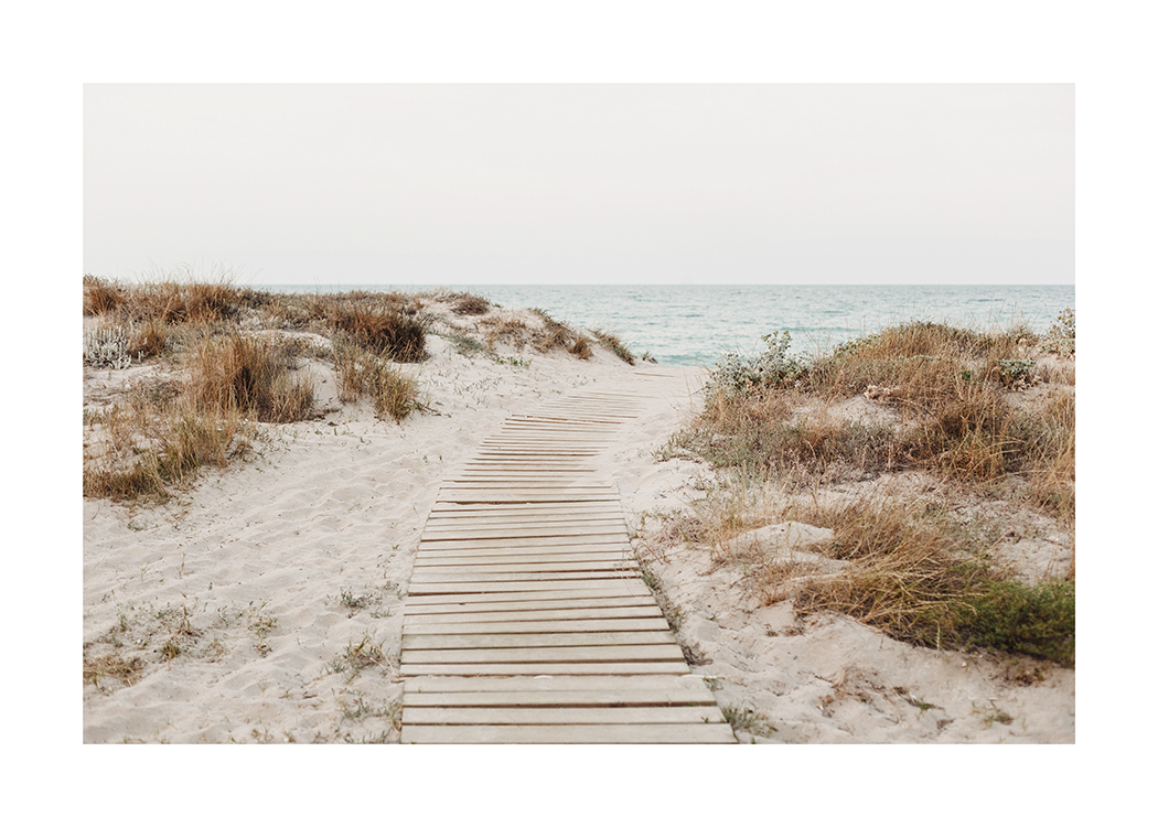  – Fotografi av sanddyner med gräs som omger en träbelagd gång och havet i bakgrunden