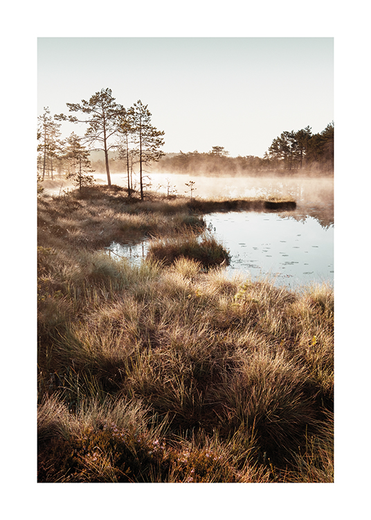  – Fotografi av gräs som omger en liten damm med träd och dimma i bakgrunden