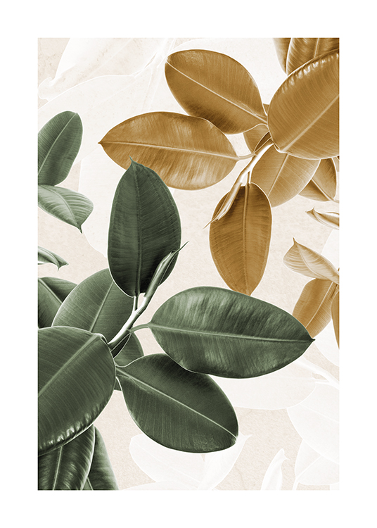 – Fotografi av gyllene och gröna fikusväxter med ljusa bladsilhuetter bakom