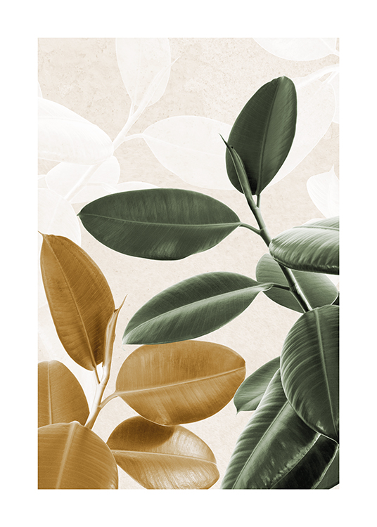 – Fotografi av fikusväxter med gyllene och gröna blad med ljusa blad i bakgrunden